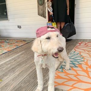 Meet your Posher, Nathaniel